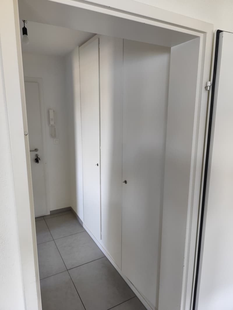 Direkt am Zürichsee: 2.5-Zimmer-Wohnung in Au (Wädenswil) wird frei (3)