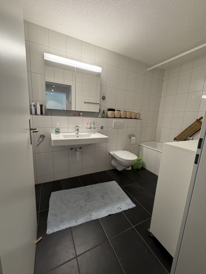 Perlen helle 3.5 Zimmerwohnung (3)