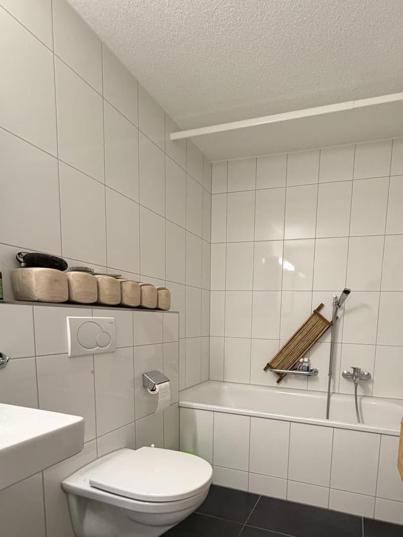 Perlen helle 3.5 Zimmerwohnung (4)
