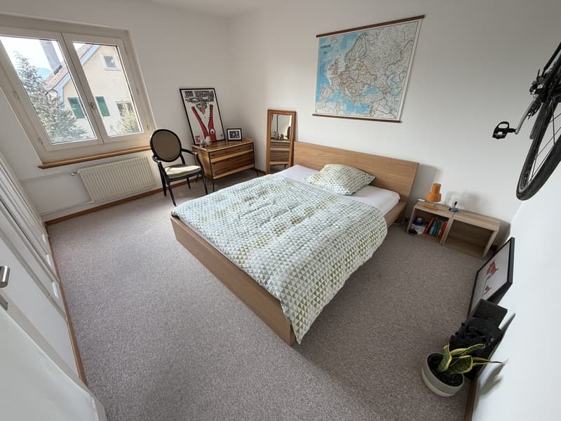 3.5 Room Apartment with Lake View for Sublet (7)