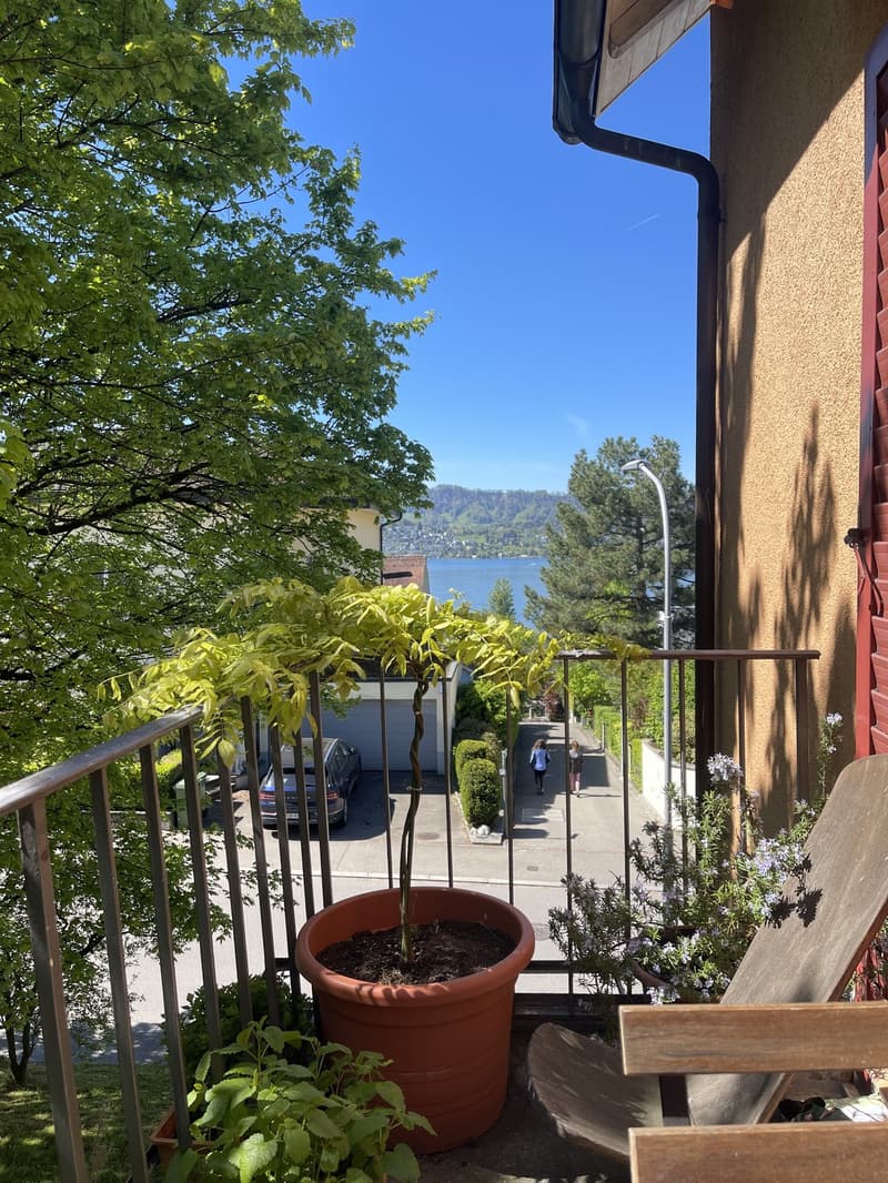 3.5 Room Apartment with Lake View for Sublet (3)