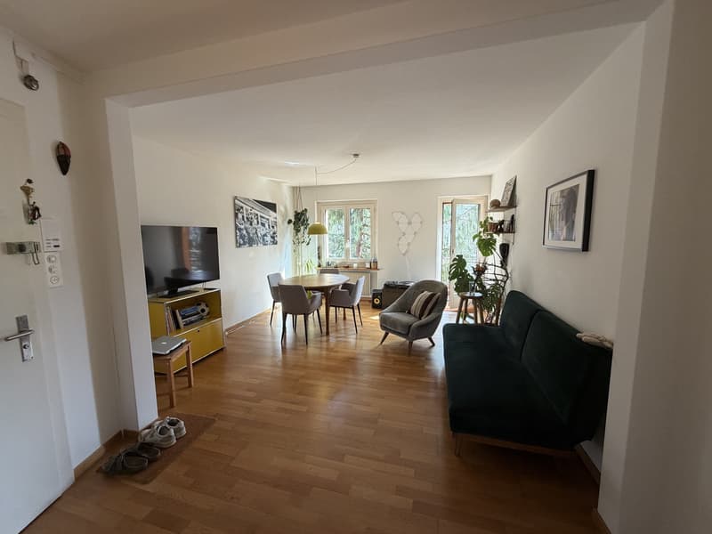 3.5 Room Apartment with Lake View for Sublet (1)