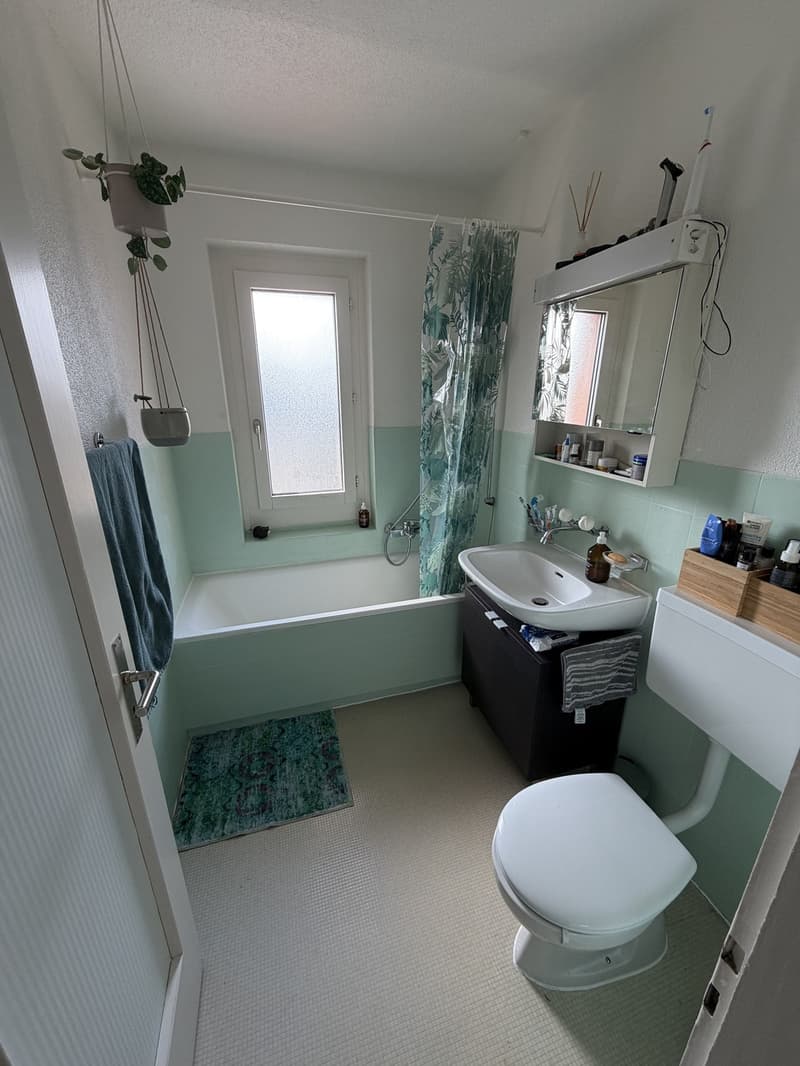 3.5 Room Apartment with Lake View for Sublet (6)