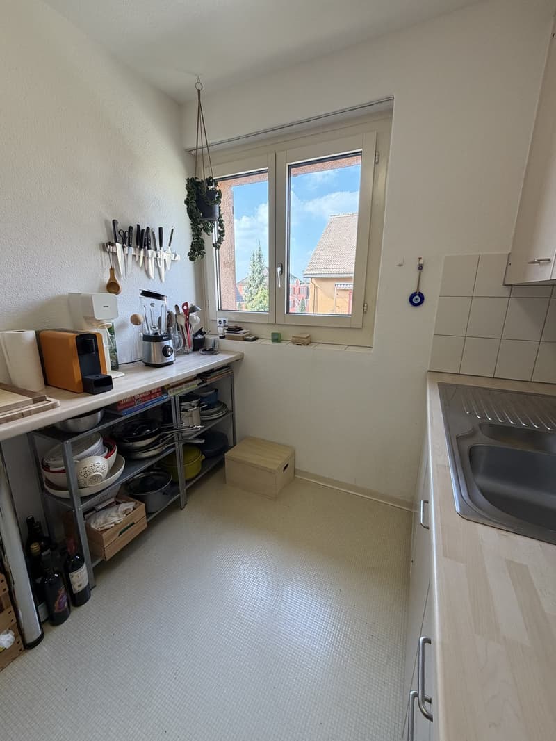 3.5 Room Apartment with Lake View for Sublet (5)