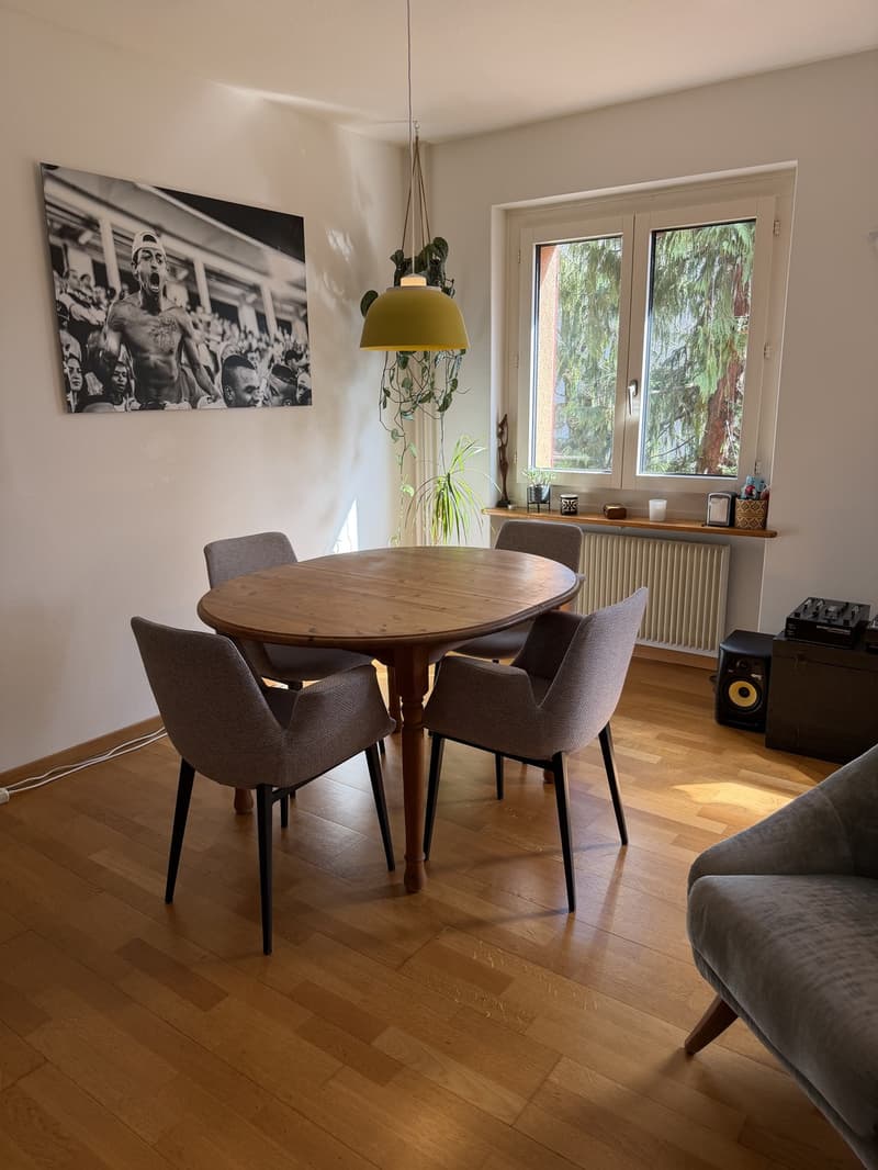 3.5 Room Apartment with Lake View for Sublet (4)