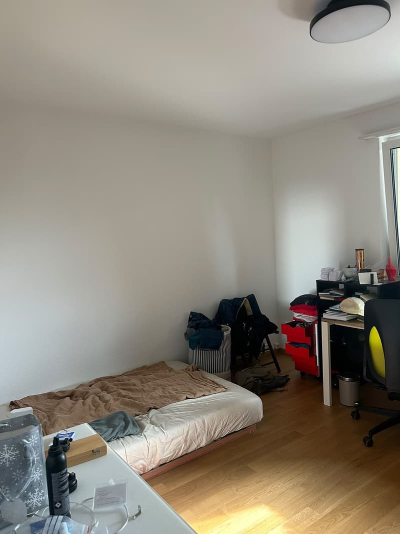 Camera in appartamento condiviso a Bern/Ostring in affitto (11)