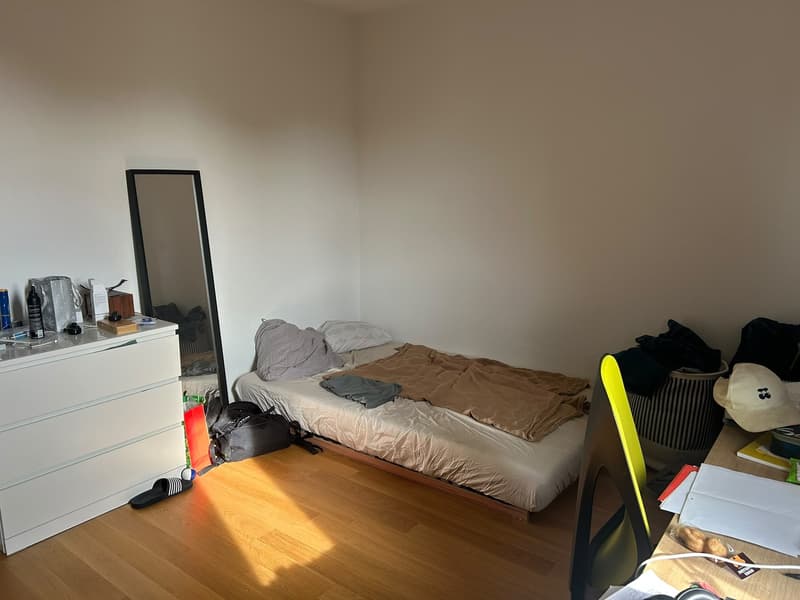 Camera in appartamento condiviso a Bern/Ostring in affitto (12)