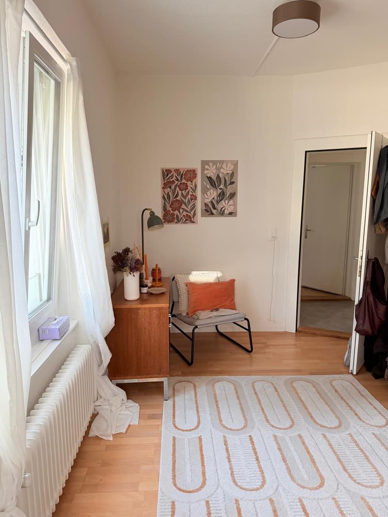 WG-Zimmer in schöner 2er Frauen WG in Zürich (2)