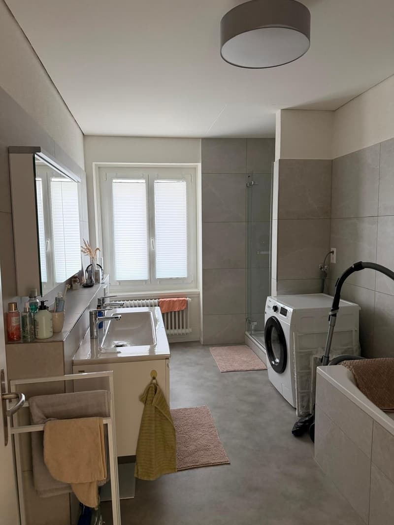 WG-Zimmer in schöner 2er Frauen WG in Zürich (8)