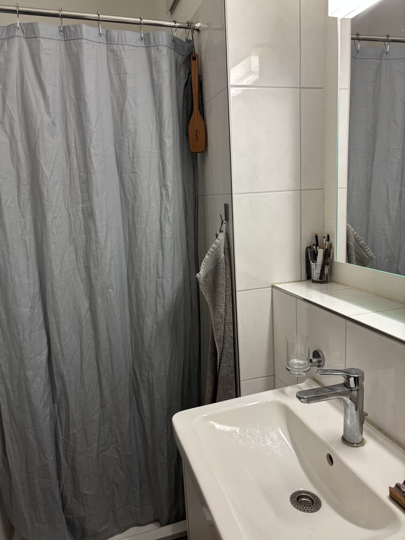 Summer flat with a view, 3 minutes from the Limmat (12)