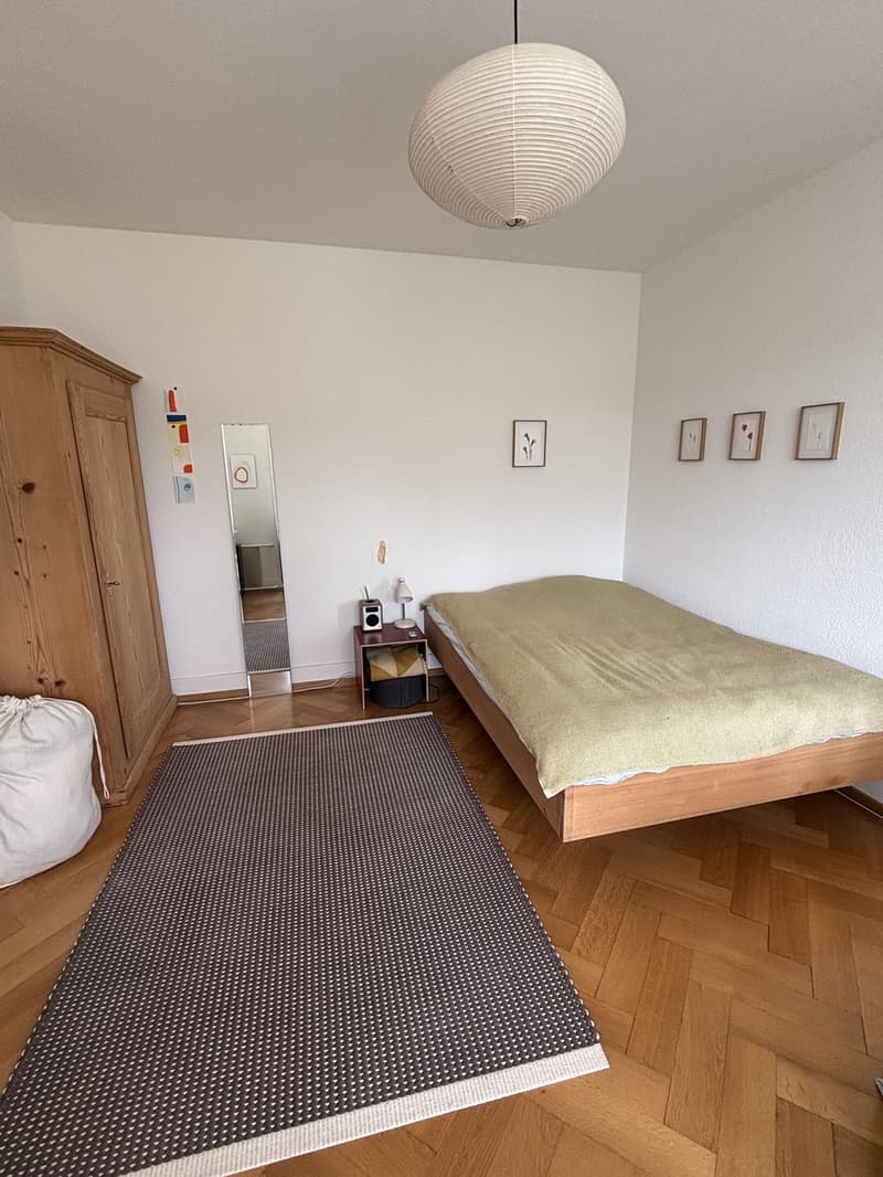 Summer flat with a view, 3 minutes from the Limmat (4)