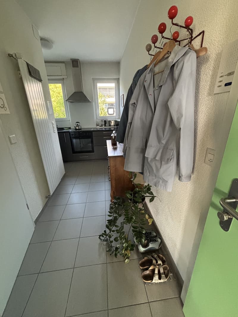 Summer flat with a view, 3 minutes from the Limmat (11)