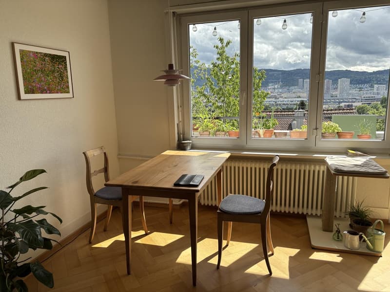 Summer flat with a view, 3 minutes from the Limmat (3)
