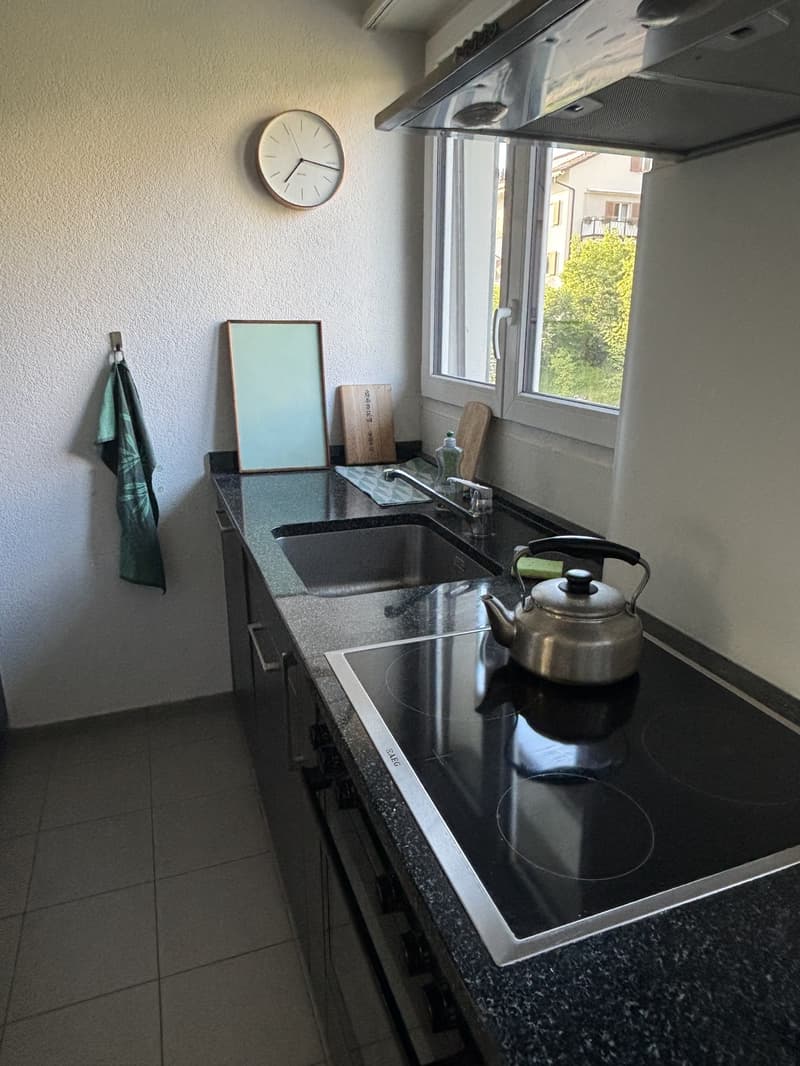 Summer flat with a view, 3 minutes from the Limmat (9)