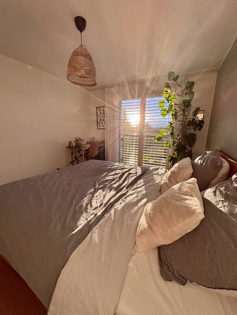 Appartement meublé de 2,5 pièces à louer sur arrangement (avec possibilité de reprise) (5)