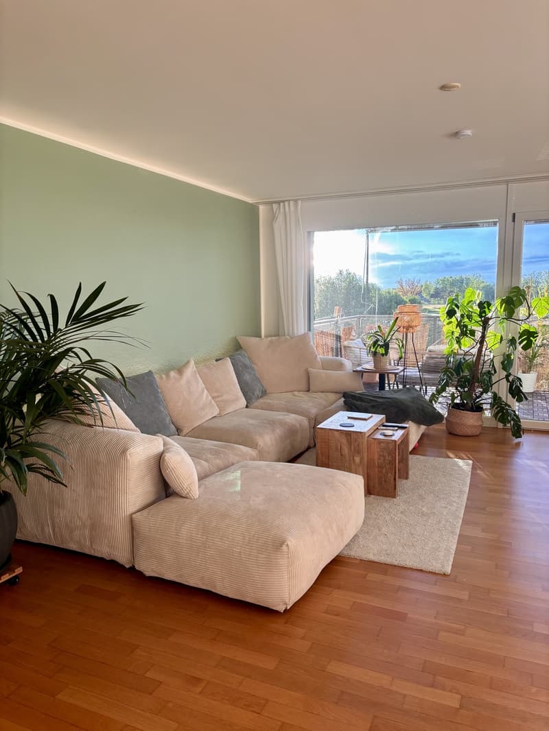Appartement meublé de 2,5 pièces à louer sur arrangement (avec possibilité de reprise) (1)