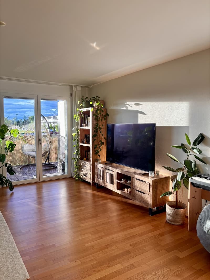 Appartement meublé de 2,5 pièces à louer sur arrangement (avec possibilité de reprise) (3)