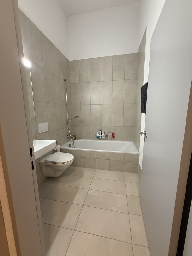 Moderne 4.5-Zimmer-Maisonettewohnung in Winterthur Hegi (2)