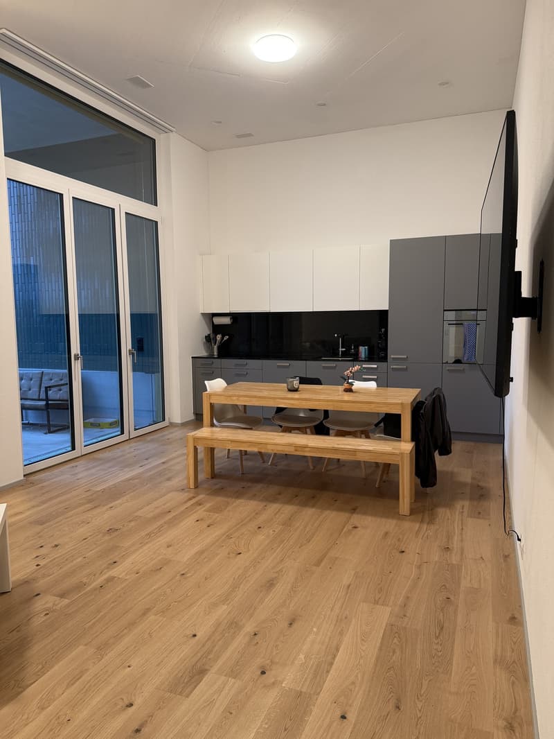 Moderne 4.5-Zimmer-Maisonettewohnung in Winterthur Hegi (1)