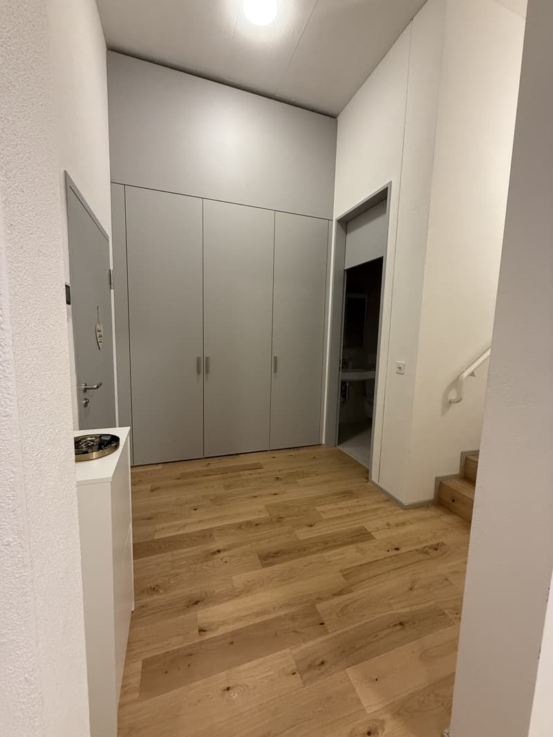 Moderne 4.5-Zimmer-Maisonettewohnung in Winterthur Hegi (4)