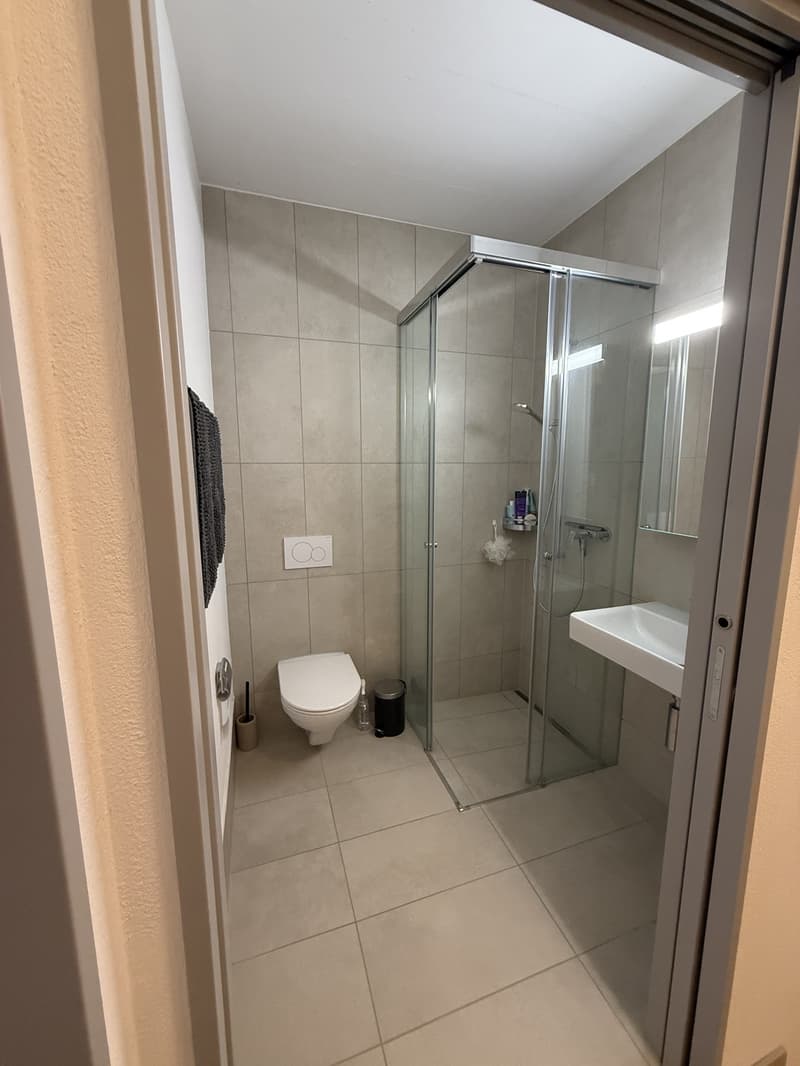Moderne 4.5-Zimmer-Maisonettewohnung in Winterthur Hegi (7)