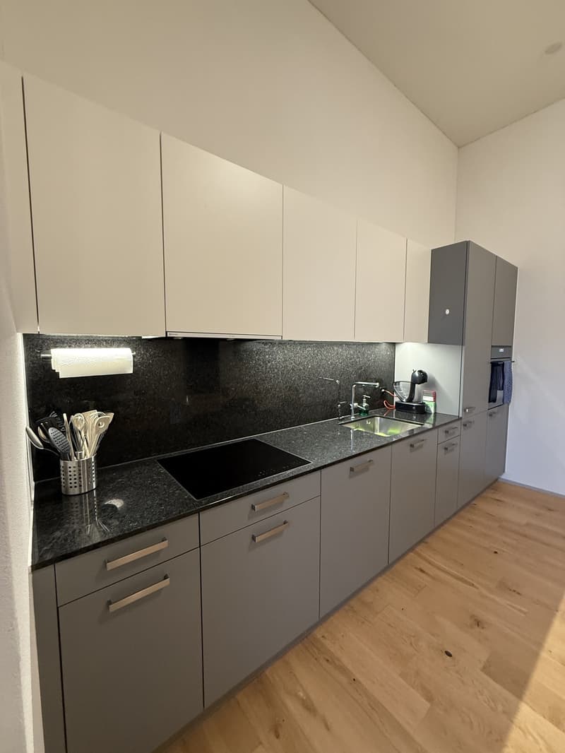 Moderne 4.5-Zimmer-Maisonettewohnung in Winterthur Hegi (3)