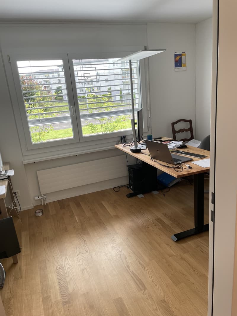 Nachmieter gesucht! Moderne 3.5 Zimmerwohnung in Kriens ab August (6)