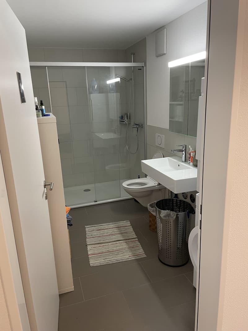 Nachmieter gesucht! Moderne 3.5 Zimmerwohnung in Kriens ab August (5)