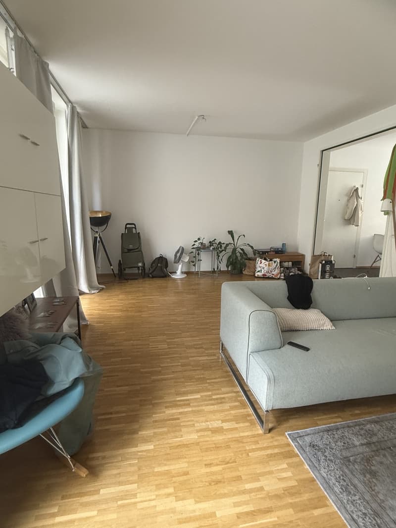 2.5 room apartment, 8406 Winterthur (2)