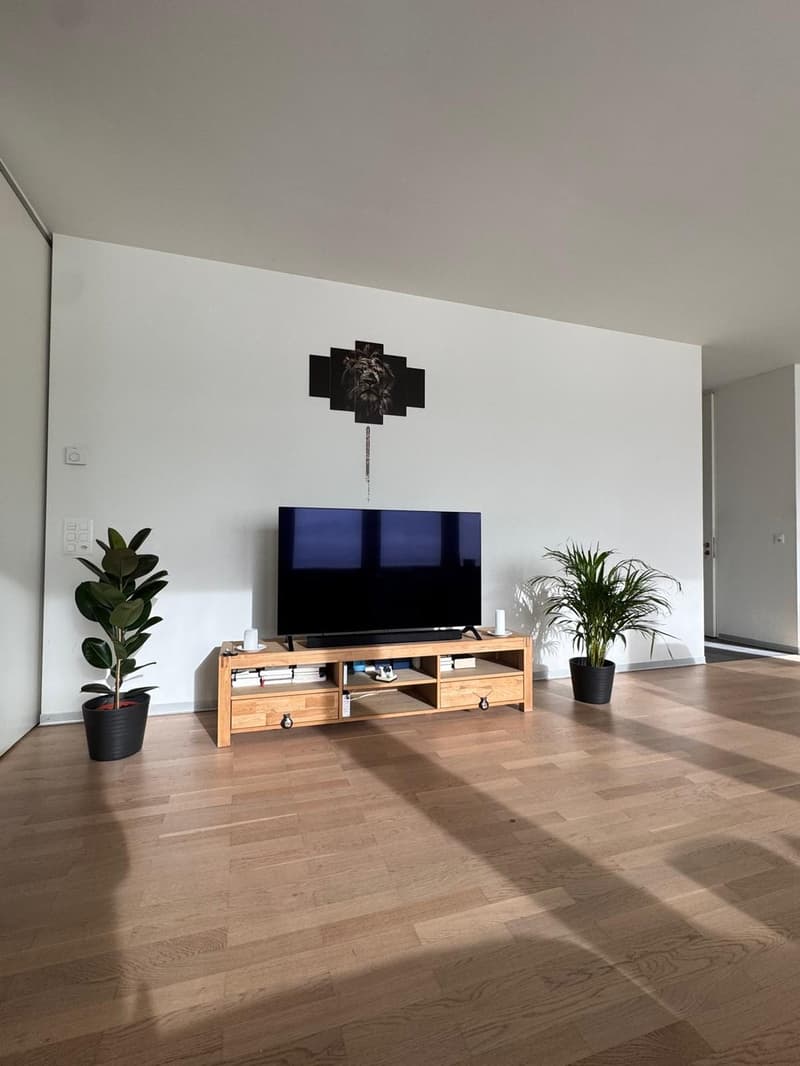 2 1/2 Zimmer-Wohnung zur Untervermietung nach Vereinbarung bis 30. September 2026 (1)