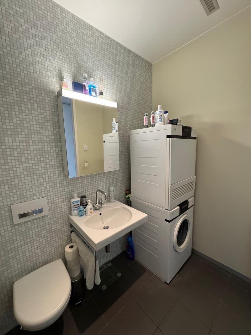 2 1/2 Zimmer-Wohnung zur Untervermietung nach Vereinbarung bis 30. September 2026 (9)