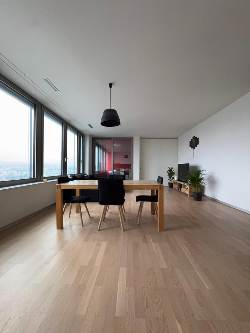 2 1/2 Zimmer-Wohnung zur Untervermietung nach Vereinbarung bis 30. September 2026 (4)