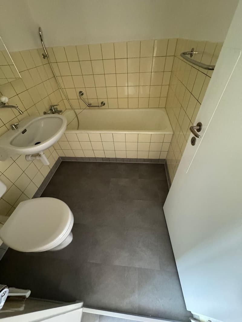 Appartamento temporaneo di 3 locali a Zürich Altstetten in affitto (8 mesi) (4)