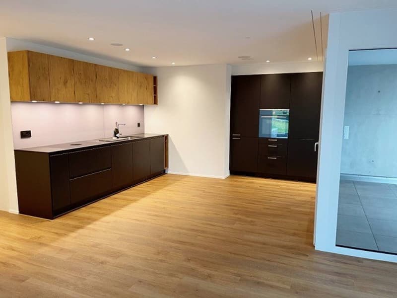 Appartement moderne au rez-de-chaussée, loyer incluant 2 places de garage, atelier, espace de jardin, serre (3)
