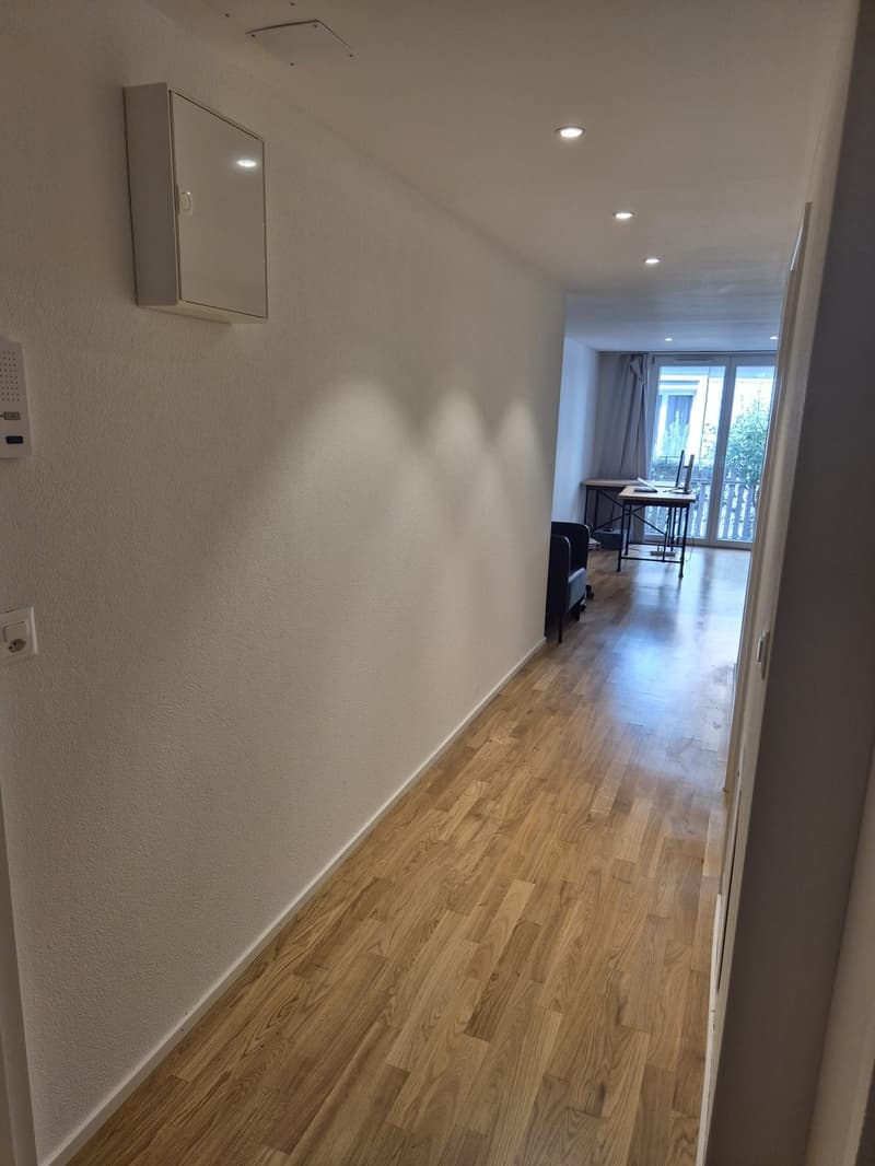 1 ½ room apartment, 8006 Zurich (2)