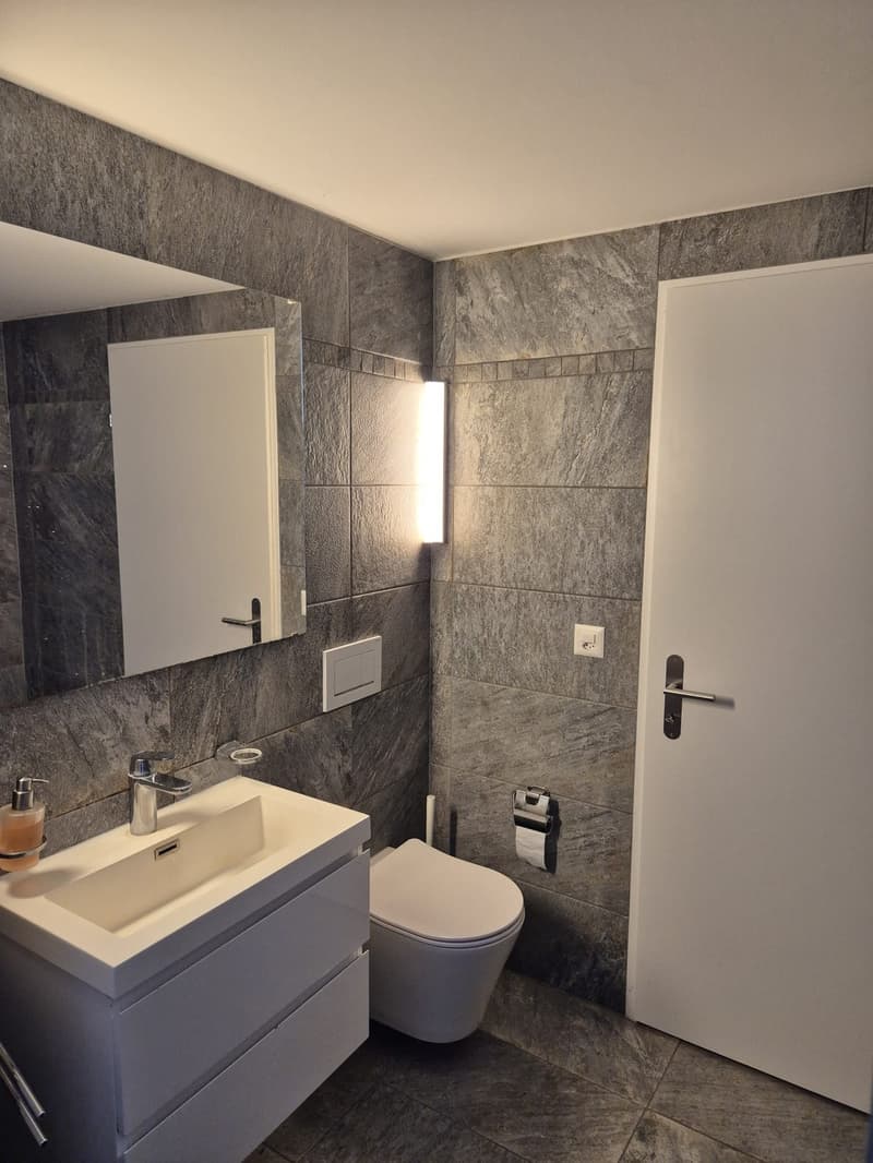 1 ½ room apartment, 8006 Zurich (3)