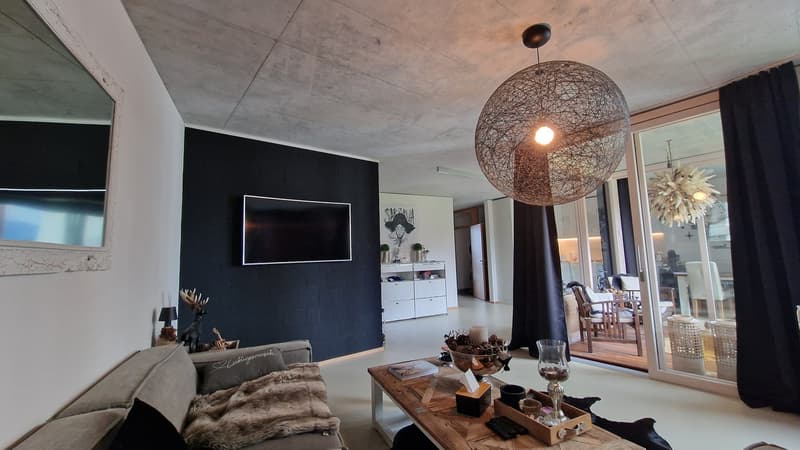 3.5 Room Apartment (1)