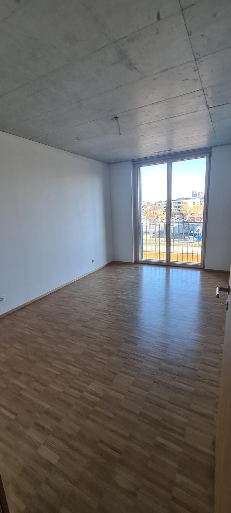 3.5 Room Apartment (4)