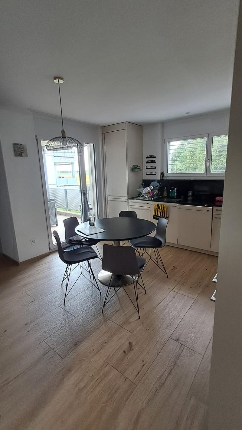 Modern apartment in a quiet location with a view of the Aare (3)