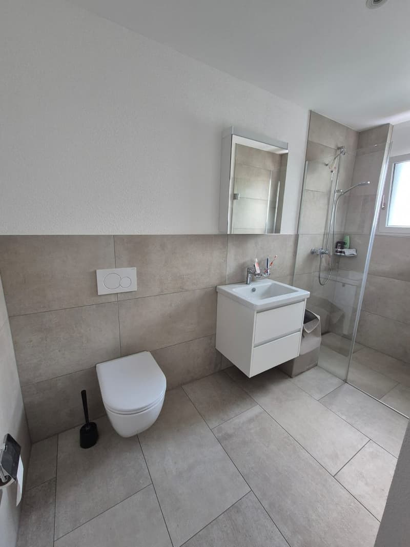 Modern apartment in a quiet location with a view of the Aare (10)