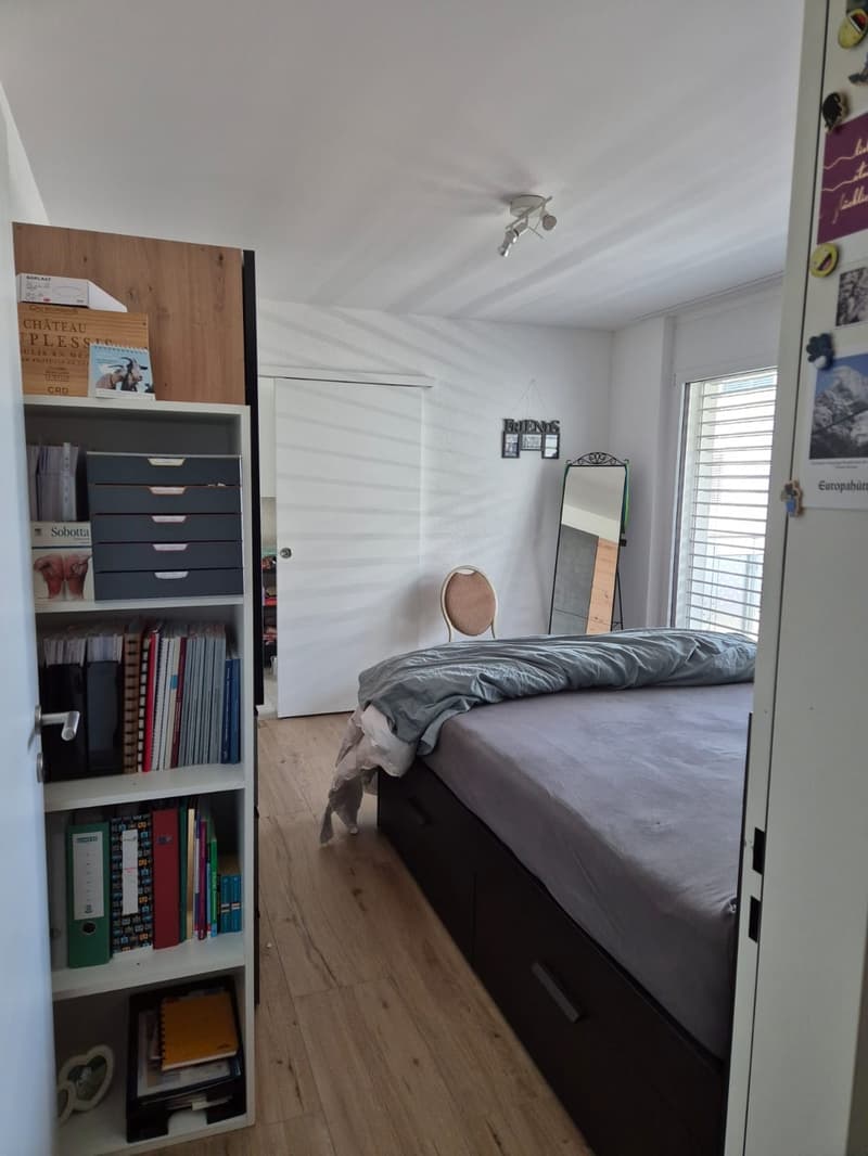 Modern apartment in a quiet location with a view of the Aare (5)