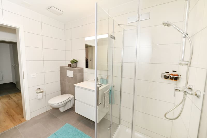 3 ½ Zimmer-Wohnung, 5737 Menziken (9)
