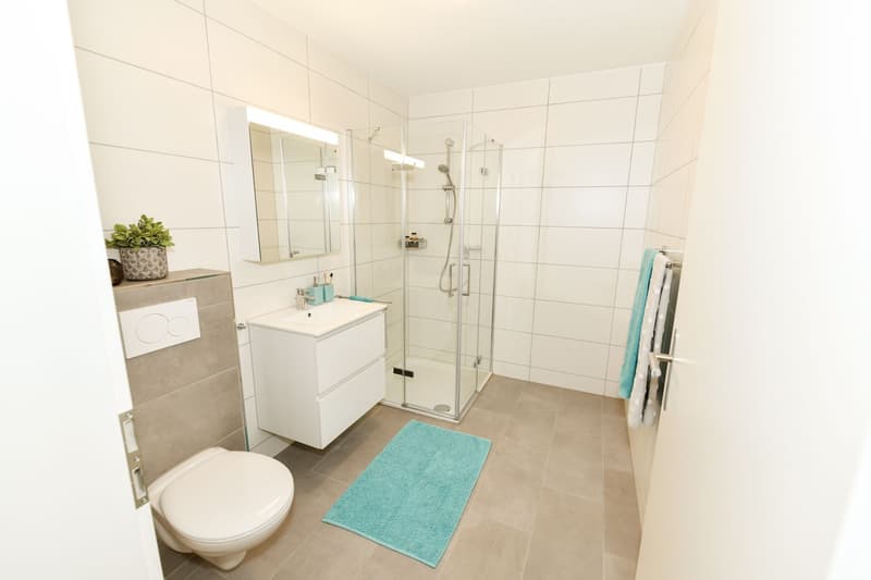 3 ½ Zimmer-Wohnung, 5737 Menziken (8)
