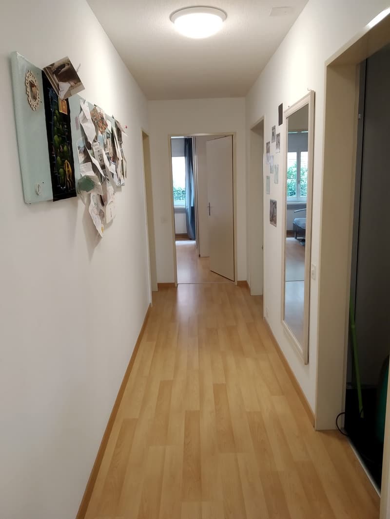 Furnished 2.5 rooms flat for rent with two pations in the heart of Zurich! Möblierte 2.5 Zi Wohnung mit 2 Sitzplätzen in Wiedikon zur befristeten Untervermietung - ab sofort (10)