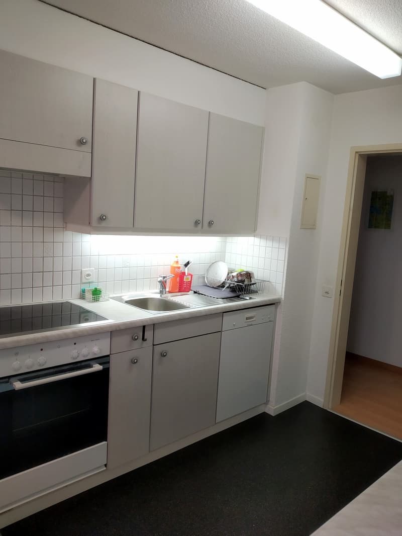 Furnished 2.5 rooms flat for rent with two pations in the heart of Zurich! Möblierte 2.5 Zi Wohnung mit 2 Sitzplätzen in Wiedikon zur befristeten Untervermietung - ab sofort (5)