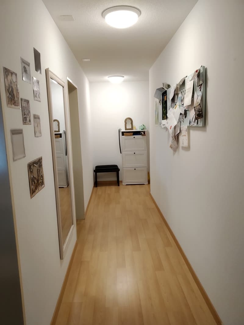 Furnished 2.5 rooms flat for rent with two pations in the heart of Zurich! Möblierte 2.5 Zi Wohnung mit 2 Sitzplätzen in Wiedikon zur befristeten Untervermietung - ab sofort (11)