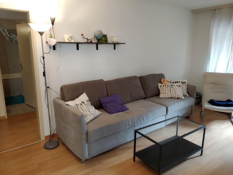 Furnished 2.5 rooms flat for rent with two pations in the heart of Zurich! Möblierte 2.5 Zi Wohnung mit 2 Sitzplätzen in Wiedikon zur befristeten Untervermietung - ab sofort (2)