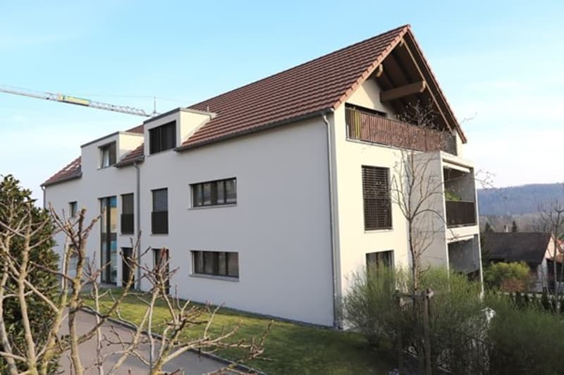 Abitazione moderna a Erlinsbach con vantaggi fiscali, Appartamento 4,5 locali di alta qualità vicino ad Aarau (2)