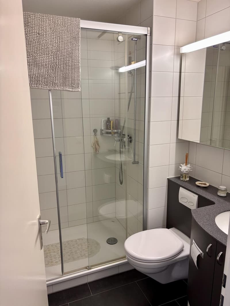 Sublet 2-room apartment (2)