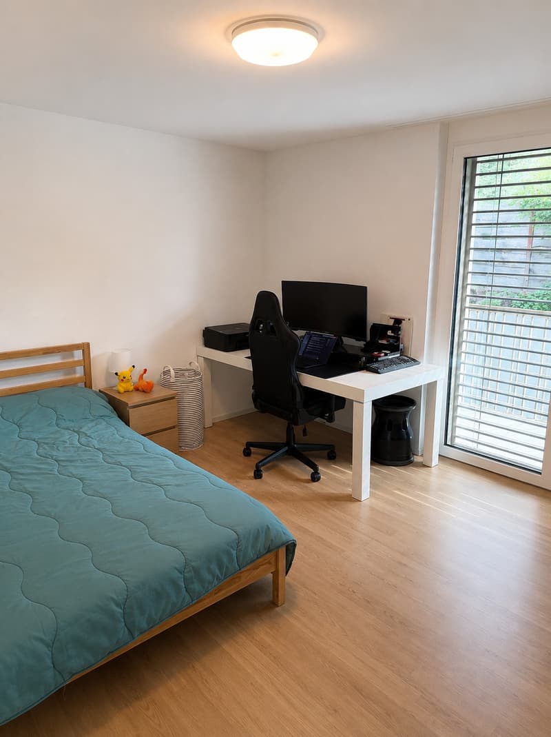 2 rooms apartment, 8330 Pfäffikon ZH (4)